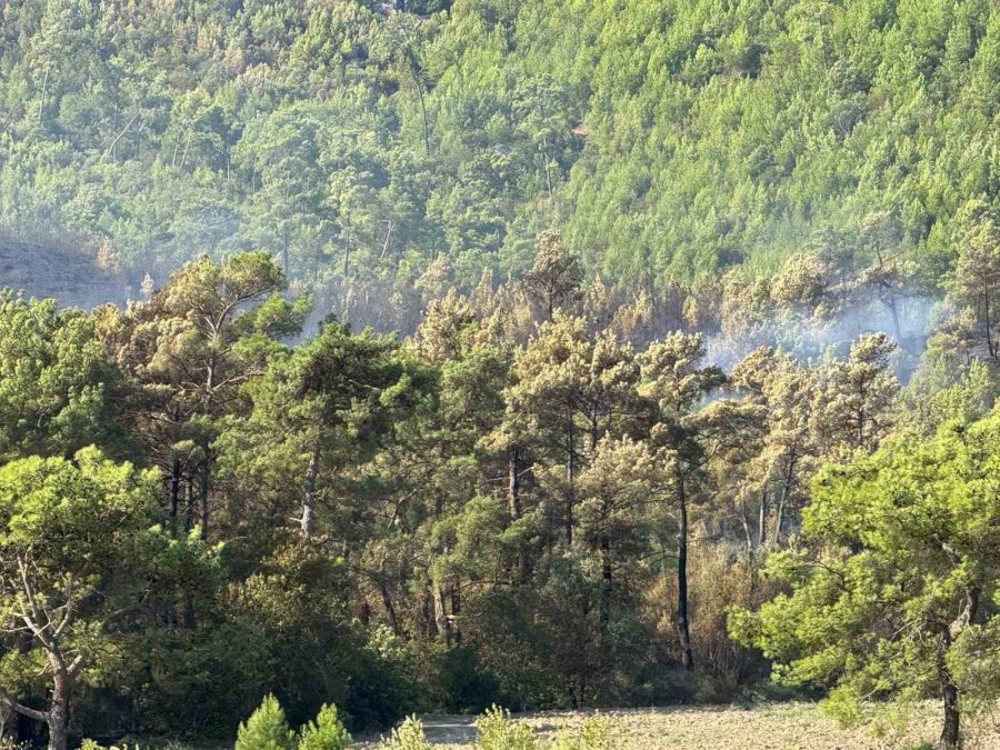 Antalya Serik’teki Yangının Enerjisi Düşürüldü