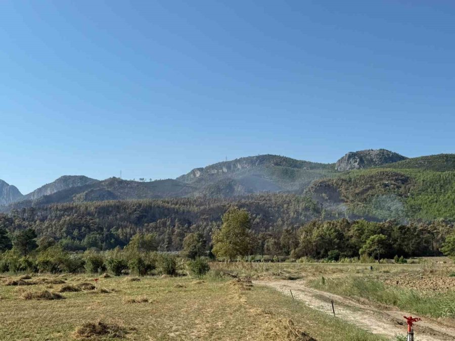 Antalya Serik’teki Yangının Enerjisi Düşürüldü