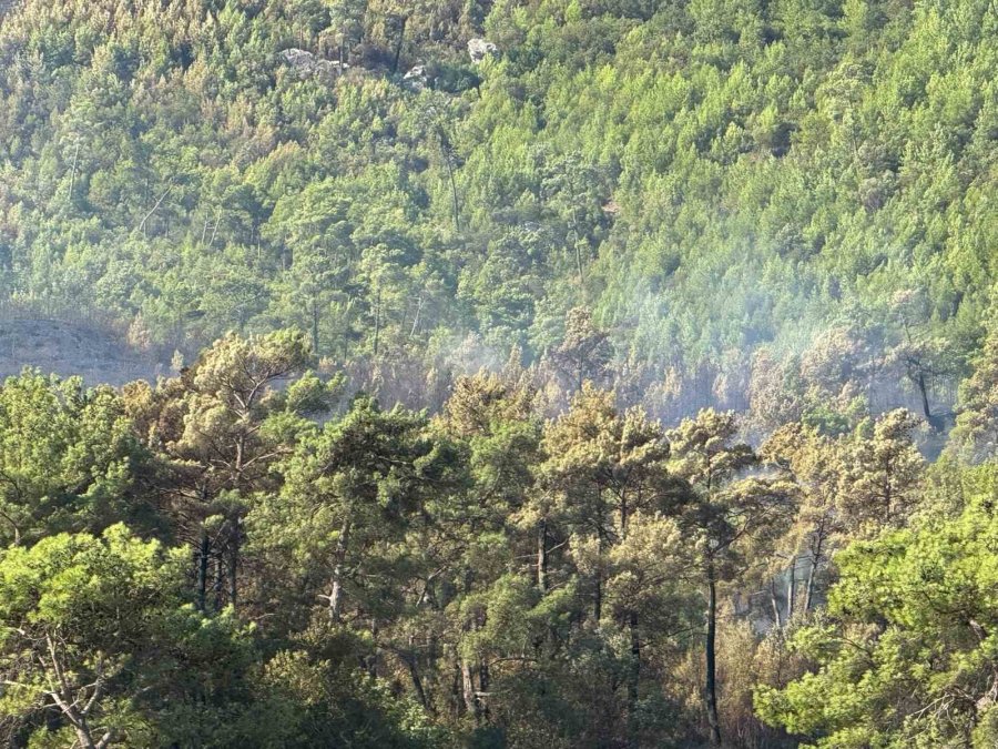 Antalya Serik’teki Yangının Enerjisi Düşürüldü