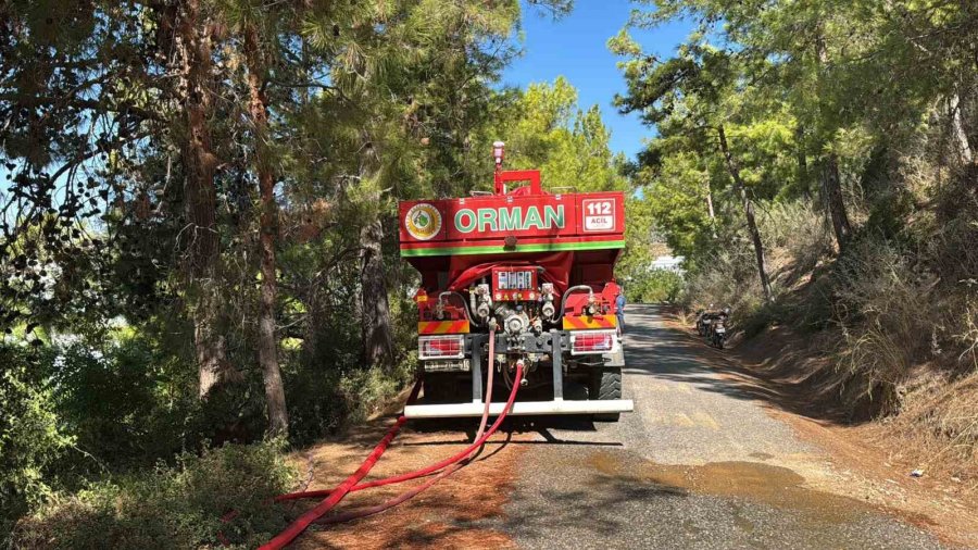 Bozyazı’da Orman Yangını Büyümeden Söndürüldü