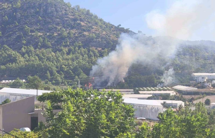 Bozyazı’da Orman Yangını Büyümeden Söndürüldü