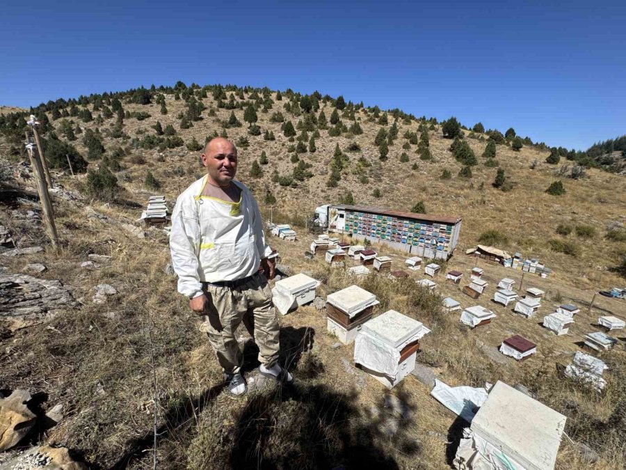 Arıcılar 240 Kovanlık ‘bal Tırı’ İle 2200 Rakımlı Yaylalarda Doğal Bal Üretimi Yapıyor