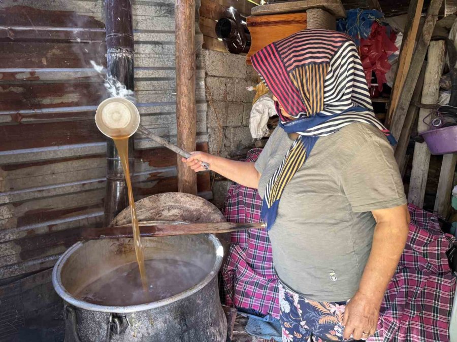 Torosların Taş Eriği Sofralara İniyor 10 Kilo Erikten 1 Kilo Ekşi Çıkıyor Kilogramı 500 Liradan Satılıyor