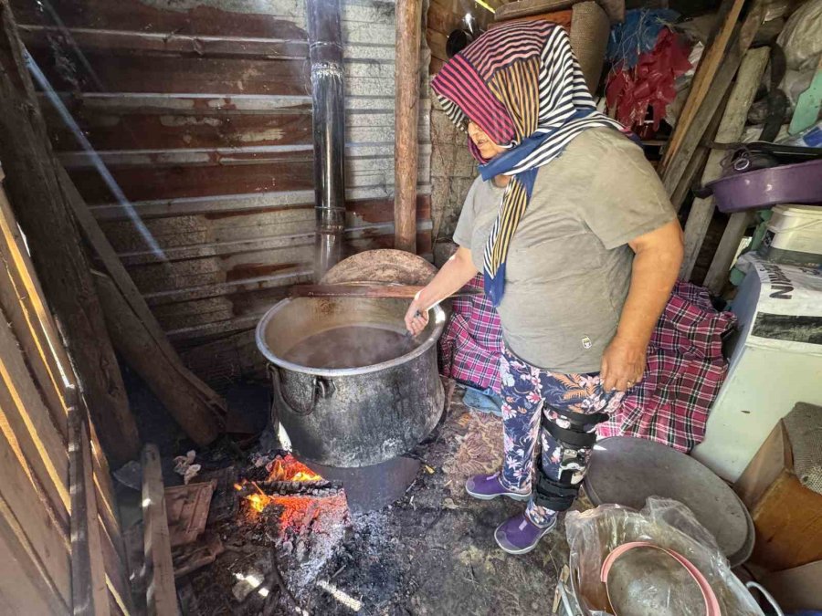 Torosların Taş Eriği Sofralara İniyor 10 Kilo Erikten 1 Kilo Ekşi Çıkıyor Kilogramı 500 Liradan Satılıyor