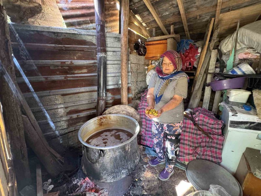Torosların Taş Eriği Sofralara İniyor 10 Kilo Erikten 1 Kilo Ekşi Çıkıyor Kilogramı 500 Liradan Satılıyor