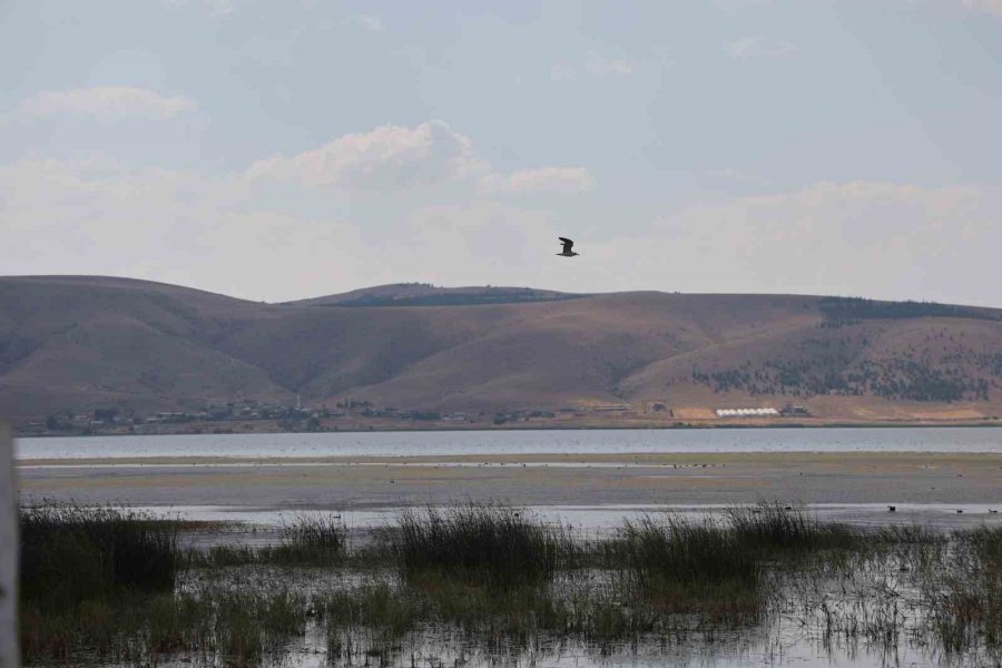 Kuruyan Göl Eski Günlerine Kavuştu, Şimdiki Hedef İse Balık Tutmak