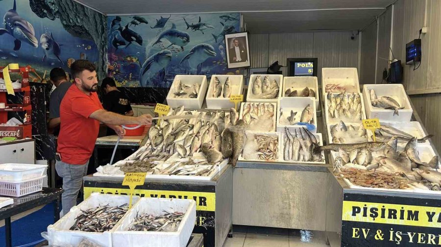 Mersin’de Av Yasağının Kalkmasıyla Balık Tezgahları Şenlendi