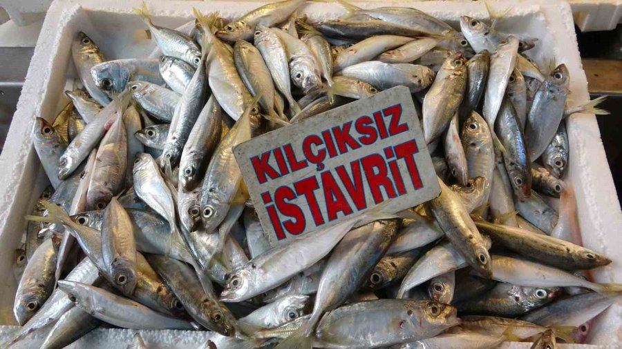 Mersin’de Av Yasağının Kalkmasıyla Balık Tezgahları Şenlendi