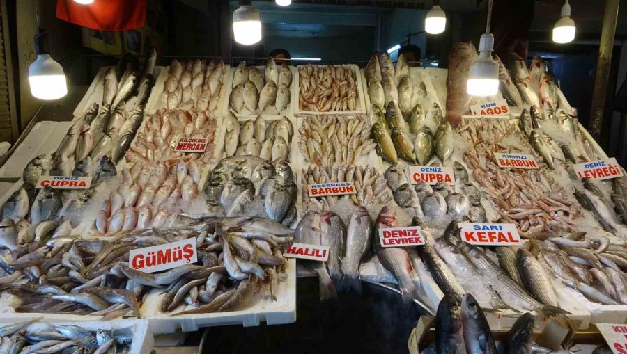 Mersin’de Av Yasağının Kalkmasıyla Balık Tezgahları Şenlendi