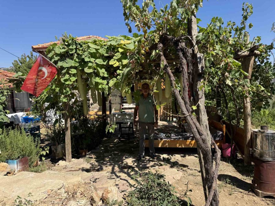 Antalya’da 96 Santimetrelik Su Kabağı Şaşkınlığı: Deneme Amaçlı Ekti, Boyu 1 Metreye Dayandı