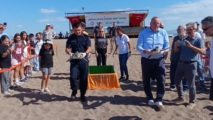 Tedavisi Tamamlanan İki Yeşil Deniz Kaplumbağası Denize Bırakıldı