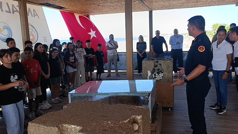 Tedavisi Tamamlanan İki Yeşil Deniz Kaplumbağası Denize Bırakıldı