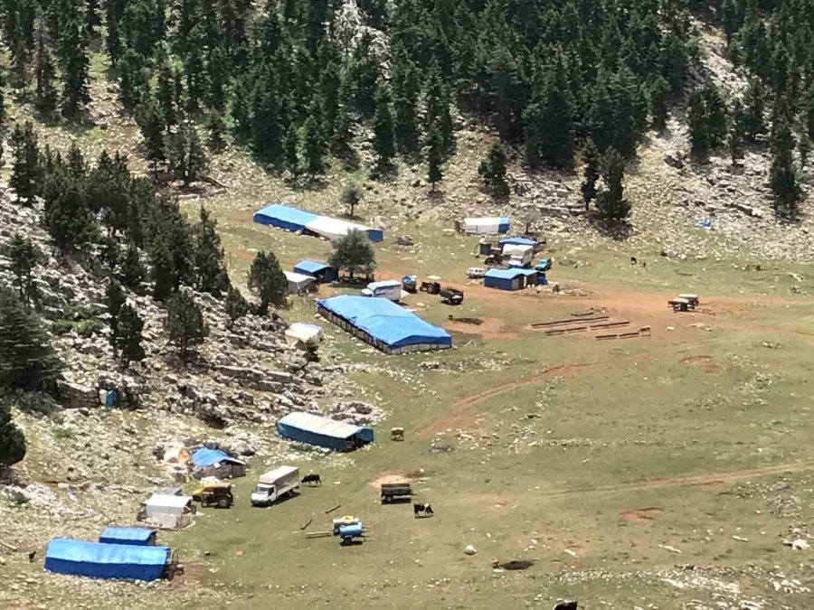 Eskiden Çul Dokuma Ve Kıl Çadırda Kullanılan Koyun Kılları Artık Çöpe Gidiyor