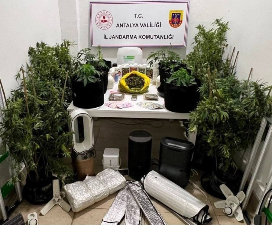 Antalya’da İki İlçede Uyuşturucu Operasyonu: 6,8 Kilo Skunk Ele Geçirildi