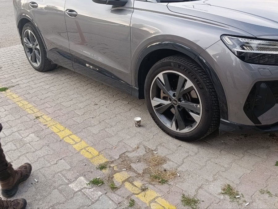 Polis Bu Kez Bir Yavru Kedi İçin Seferber Oldu