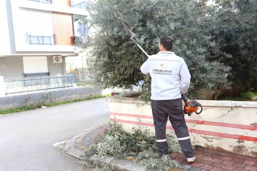Kepez’in Yeşil Dokusu Korunuyor