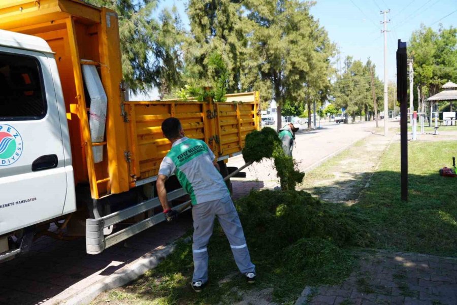 Kepez’in Yeşil Dokusu Korunuyor