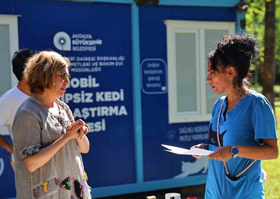Mobil Sahipsiz Kedi Kısırlaştırma Ünitesi Karaalioğlu Parkı’nda