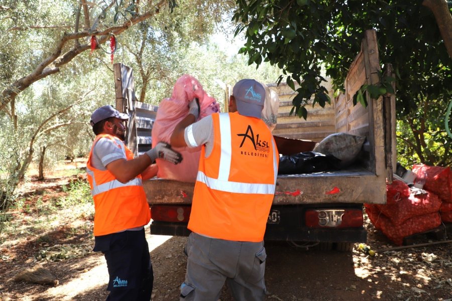 Antalya’da Merdiven Altı İşletmeye Denetim: Yarım Ton Keçiboynuzuna El Konuldu