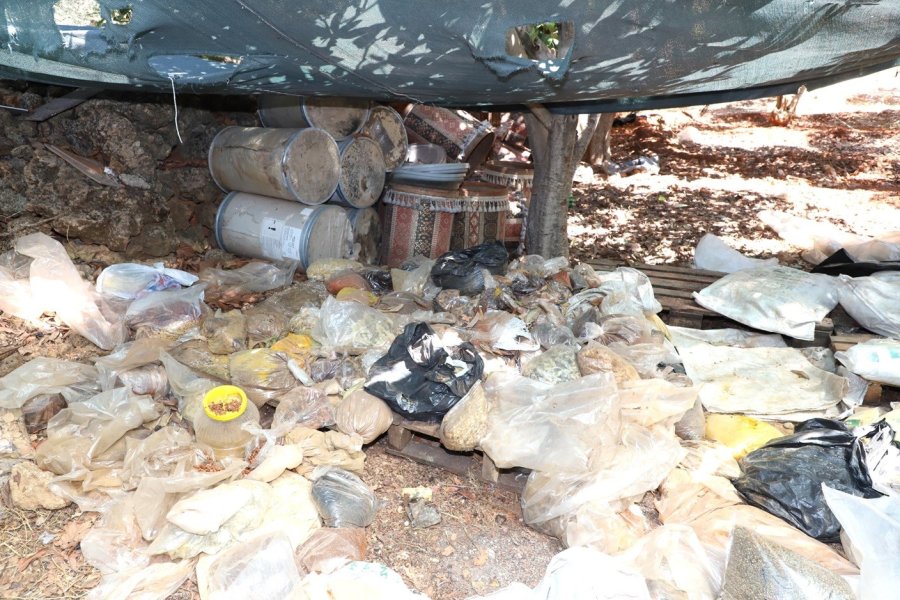 Antalya’da Merdiven Altı İşletmeye Denetim: Yarım Ton Keçiboynuzuna El Konuldu