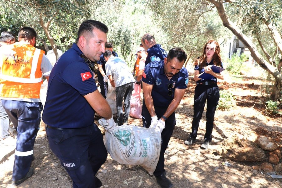 Antalya’da Merdiven Altı İşletmeye Denetim: Yarım Ton Keçiboynuzuna El Konuldu