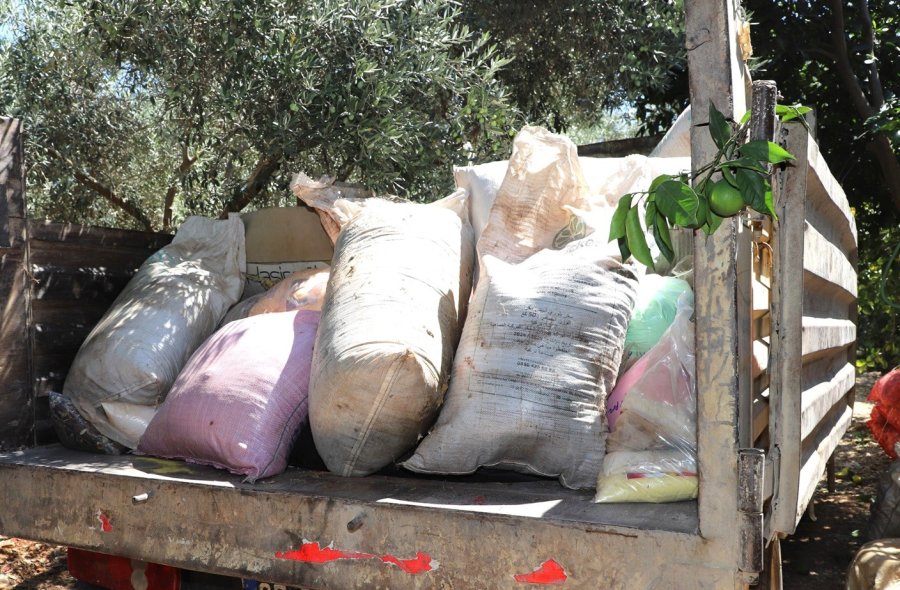 Antalya’da Merdiven Altı İşletmeye Denetim: Yarım Ton Keçiboynuzuna El Konuldu