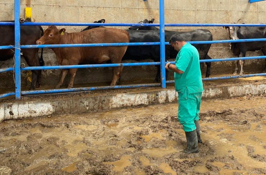 Hayvan Sağlığı İçin İşletmeler Tek Tek Geziliyor