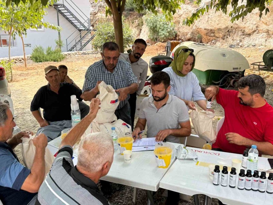 Mersin’de Çiftçilere Akdeniz Meyve Sineğiyle Mücadele Eğitimi
