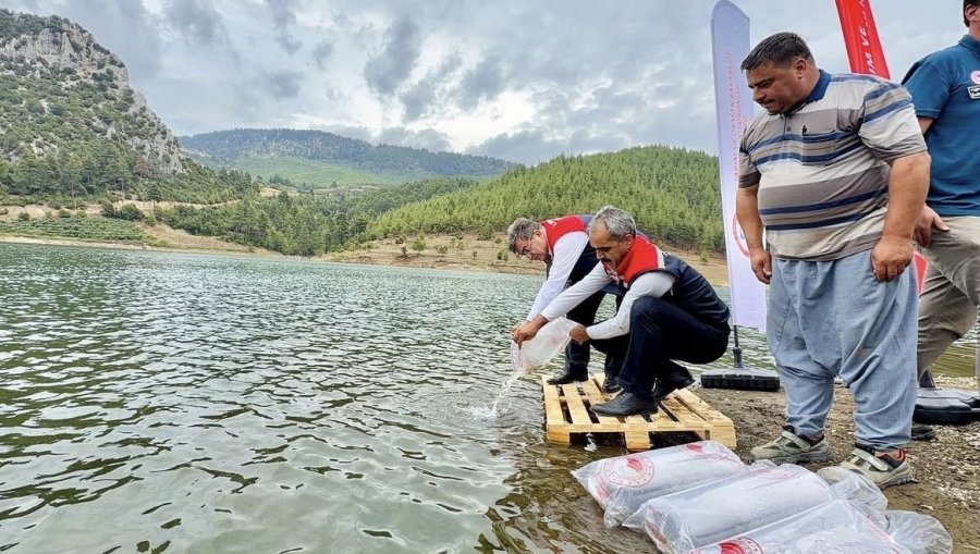Mersin’de 17 Göl Ve Gölete 347 Bin Yavru Sazan Bırakıldı