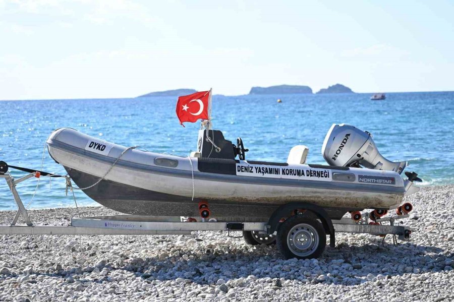 Tekirova Sahili’nde Deniz Yaşamını Koruma Çalışmaları Başladı