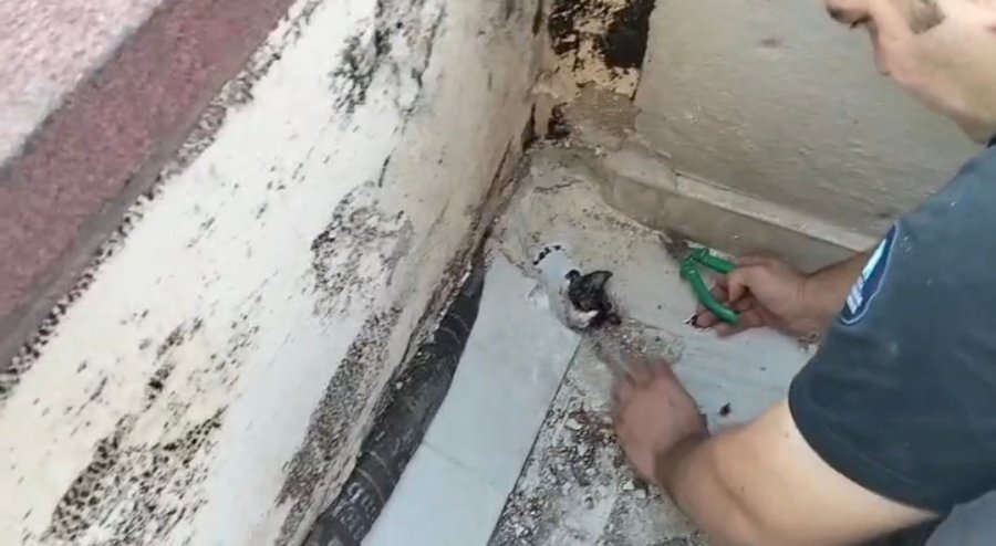 Yağmur Suyu Giderine Sıkışan Yavru Kediyi İtfaiyeciler Kurtardı