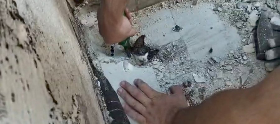 Yağmur Suyu Giderine Sıkışan Yavru Kediyi İtfaiyeciler Kurtardı