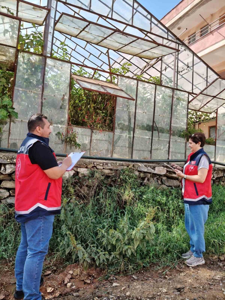 Alanya’da 22 Bin Dekar Alanda Seralar Tek Tek İnceleniyor