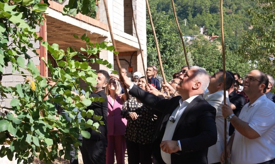 Alanya’da "en Ağır Keçiboynuzu" Yarışması Renkli Anlara Sahne Oldu