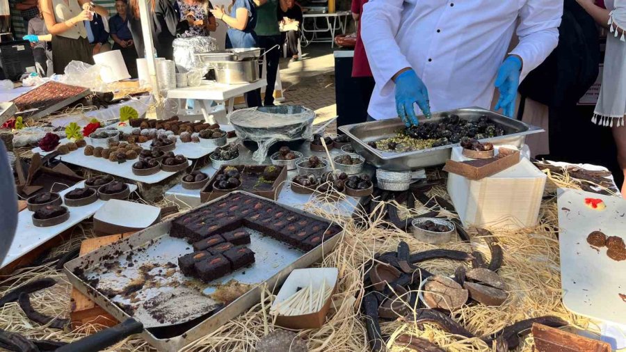 Alanya’da "en Ağır Keçiboynuzu" Yarışması Renkli Anlara Sahne Oldu