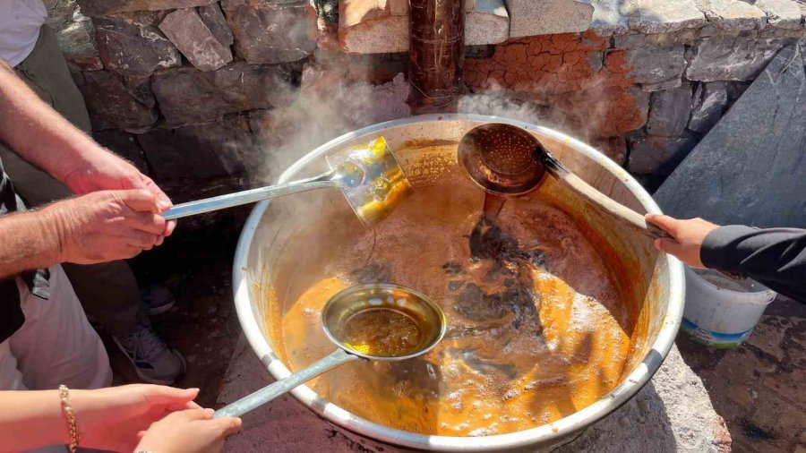 Alanya’da "en Ağır Keçiboynuzu" Yarışması Renkli Anlara Sahne Oldu