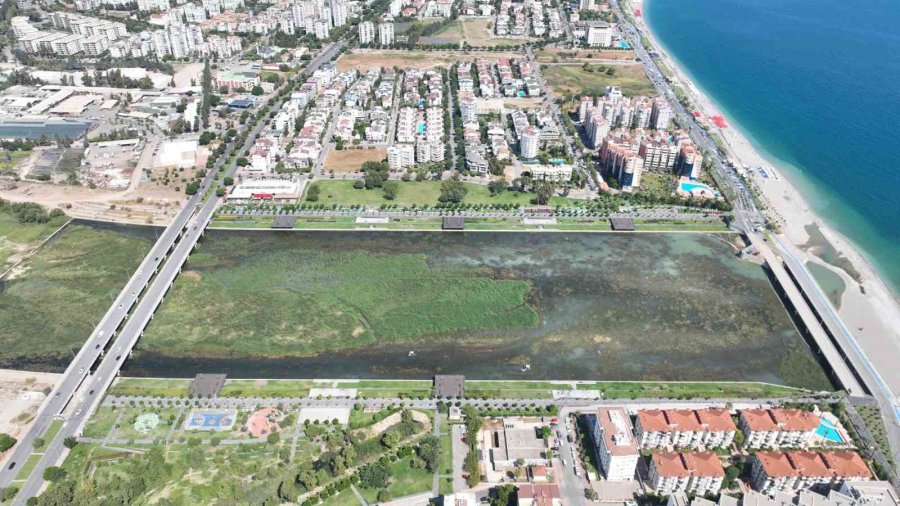 Boğaçayı’nda Tartışılan Görüntüye Uzmanlardan "kirlilik Değil, Yaşam Alanı" Açıklaması