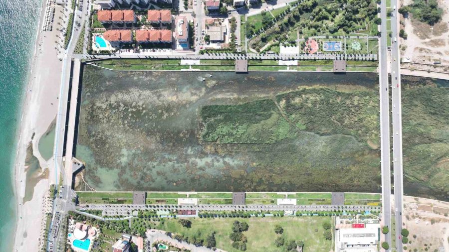 Boğaçayı’nda Tartışılan Görüntüye Uzmanlardan "kirlilik Değil, Yaşam Alanı" Açıklaması