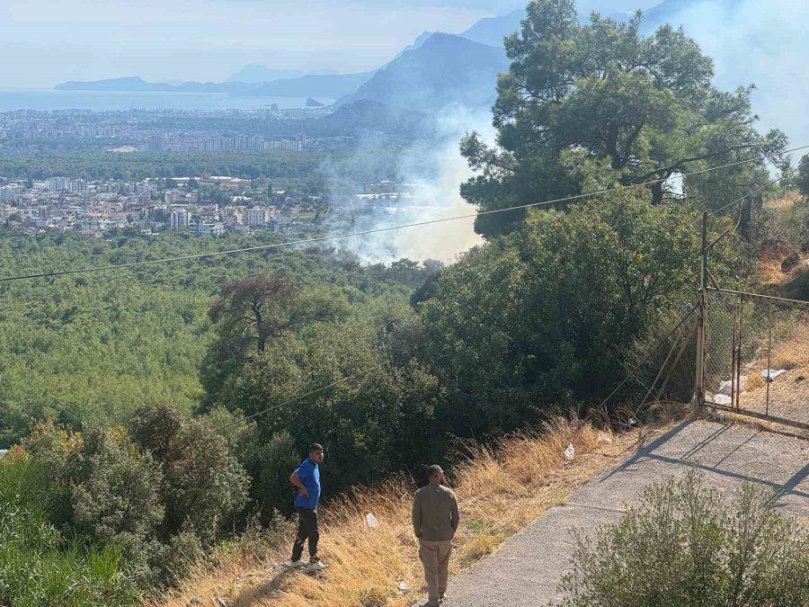 Antalya’da Orman Yangını