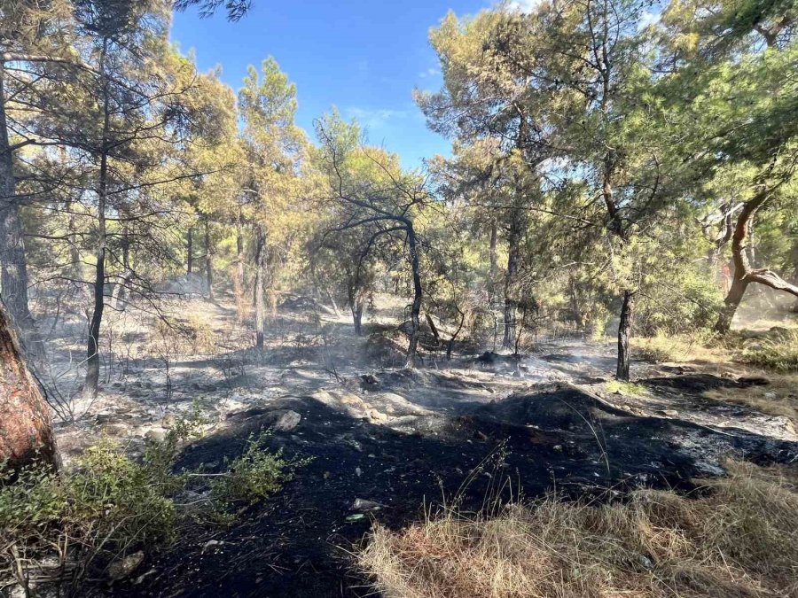 Antalya’da Çıkan Orman Yangın Kontrol Altına Alındı
