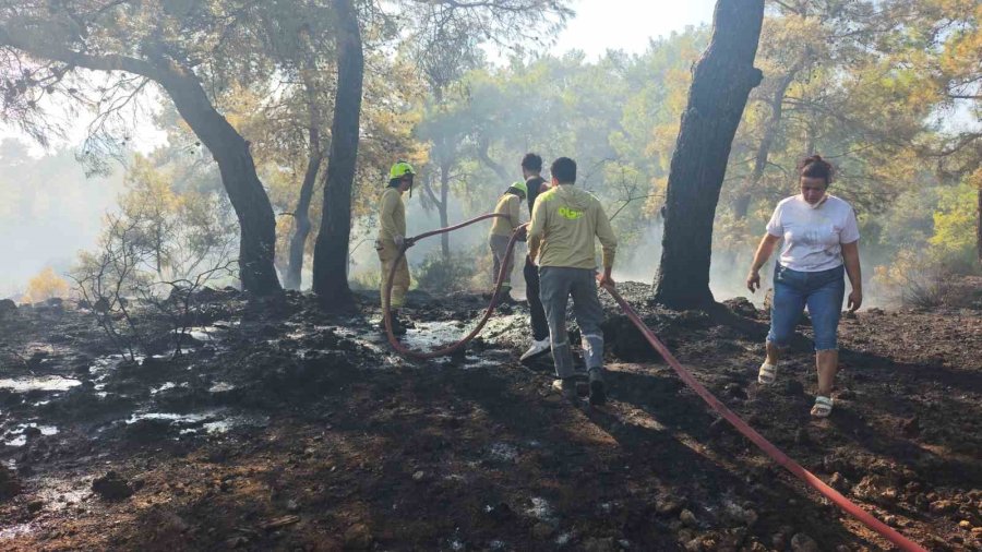 Antalya’da Çıkan Orman Yangın Kontrol Altına Alındı