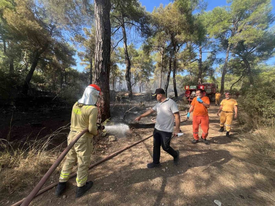 Antalya’da Çıkan Orman Yangın Kontrol Altına Alındı