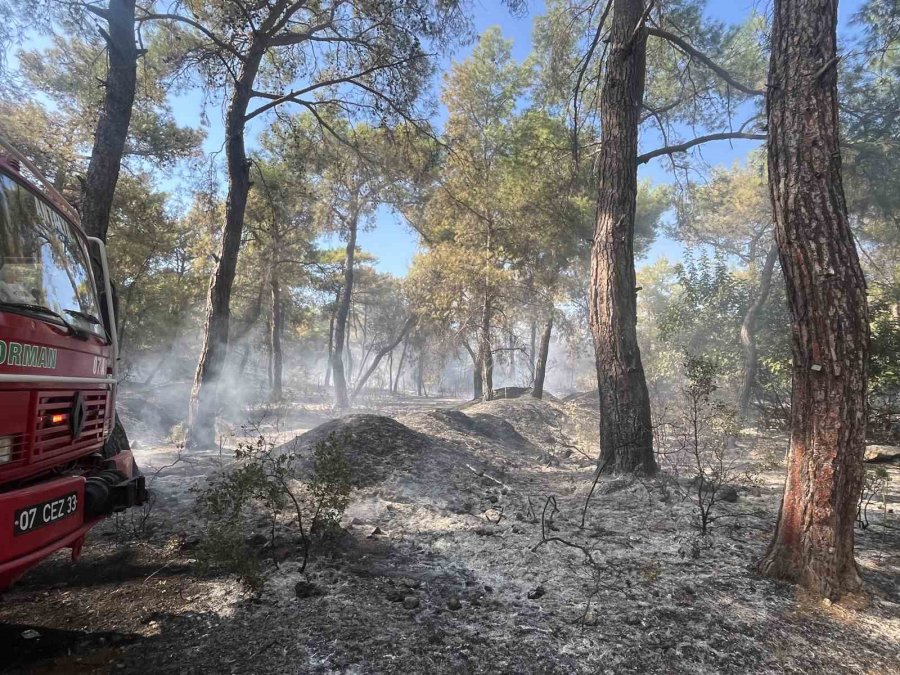 Antalya’da Çıkan Orman Yangın Kontrol Altına Alındı