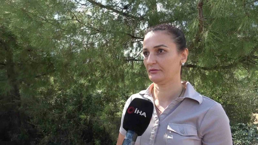 Cadde Ortasında Genç Motosikletliyi Döverek Hastanelik Ettiler