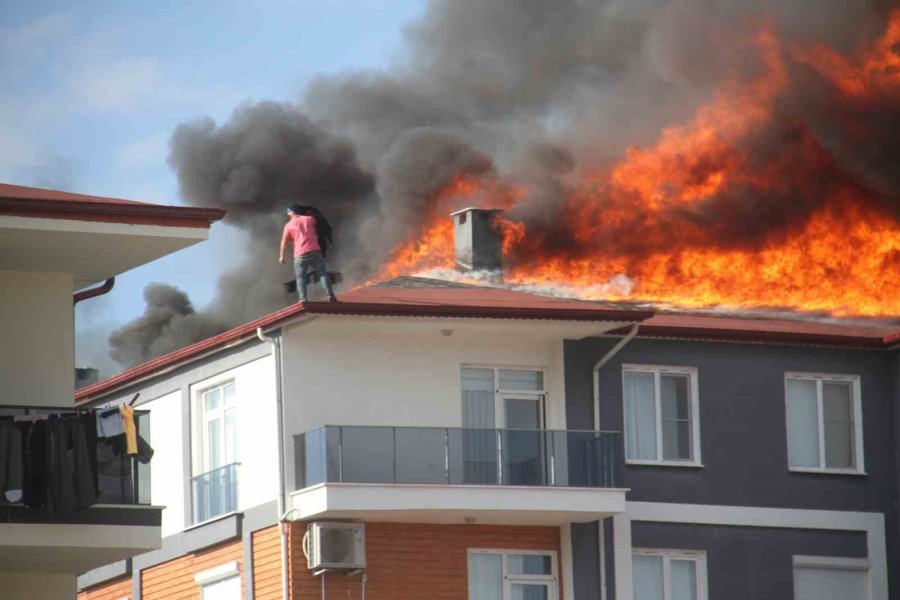 Alev Alev Yanan Çatıda Can Pazarı