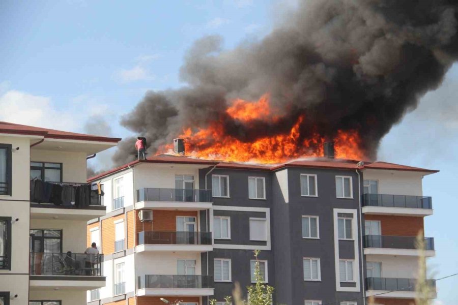 Alev Alev Yanan Çatıda Can Pazarı