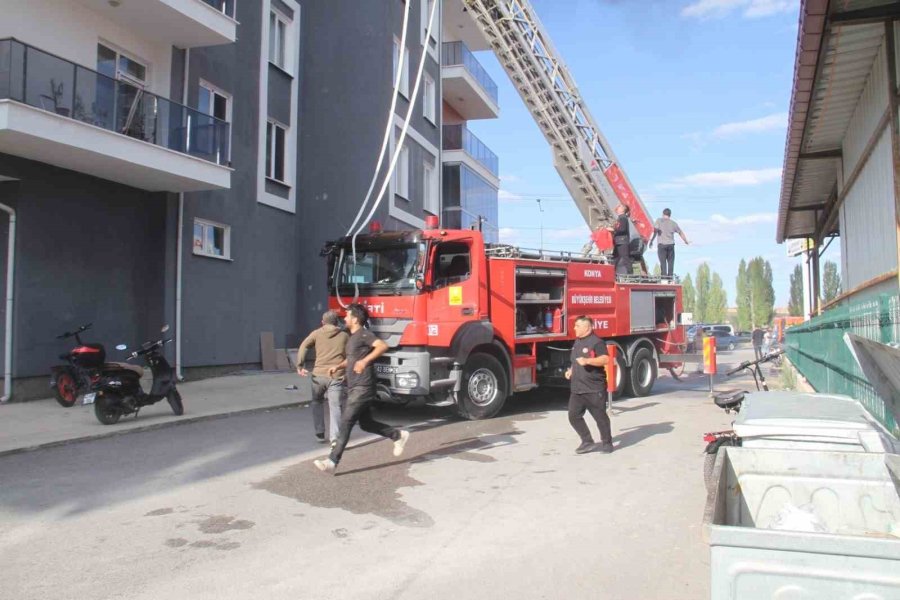 Alev Alev Yanan Çatıda Can Pazarı