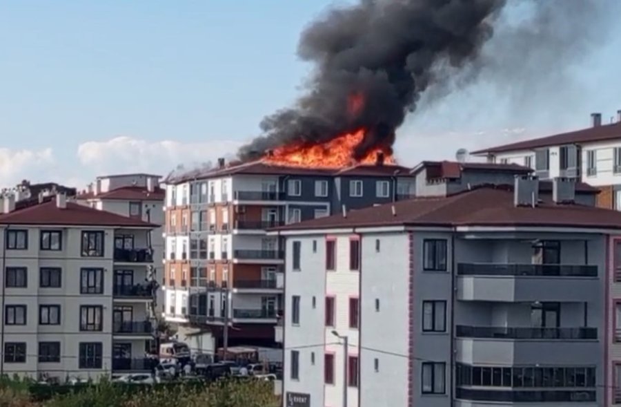 Alev Alev Yanan Çatıda Can Pazarı