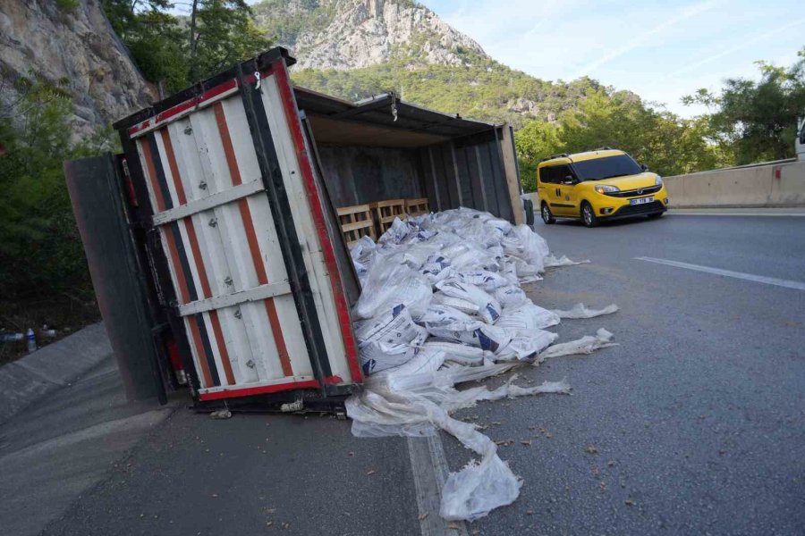 Pelet Yüklü Kamyon Bariyerlere Çarptı, Kasası Devrildi: 1 Yaralı