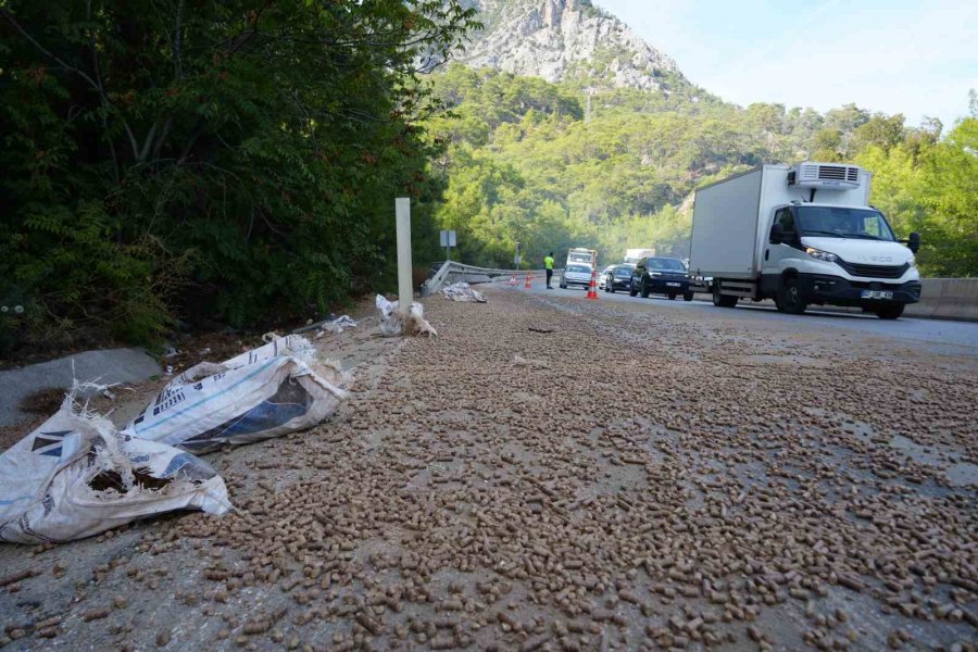 Pelet Yüklü Kamyon Bariyerlere Çarptı, Kasası Devrildi: 1 Yaralı